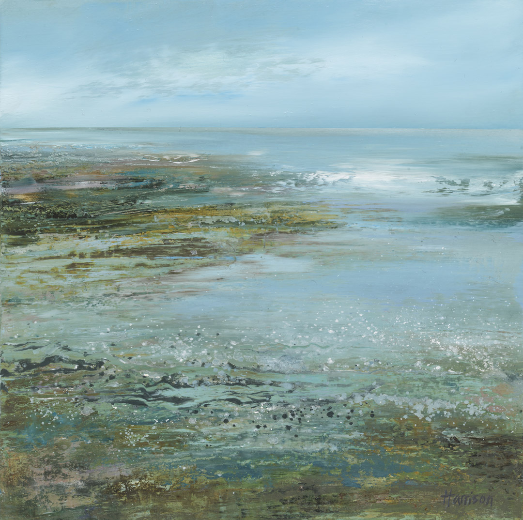 Seascapes & Coastal Habitats - Pamela Harrison Art